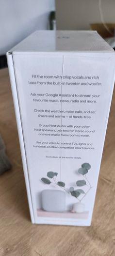 Google nest audio