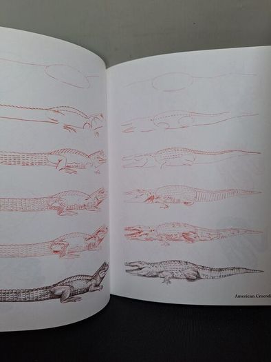 SALE! Set of 4 DRAW 50 drawing books: Dinosaurs, Flowers, Animals and Endangered Animals
