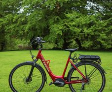 Trek Electric Bike