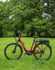 Trek Electric Bike