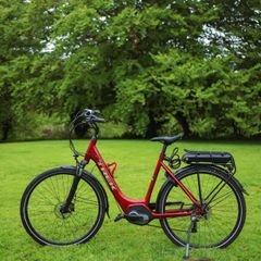 Trek Electric Bike