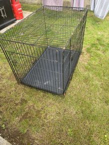 dog crate