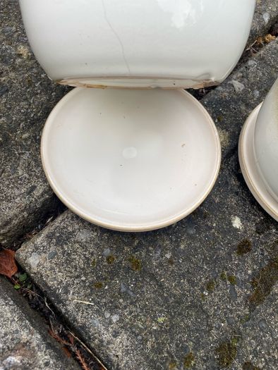 flower pots