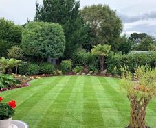 garden services
