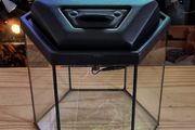 Hexagonal Aquarium 31 Litres
