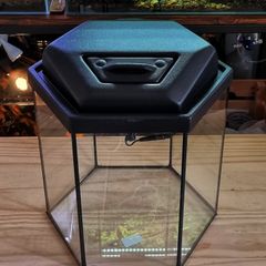 Hexagonal Aquarium 31 Litres
