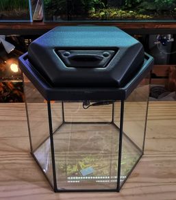Hexagonal Aquarium 31 Litres