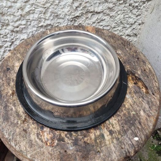 large dog bowl