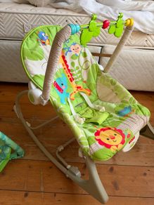 Baby bouncer