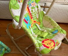 Baby bouncer