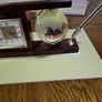 Clock desk tidy Image 3