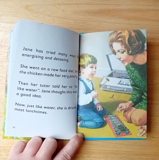 Mindfulness- Ladybird For Grown Ups Book