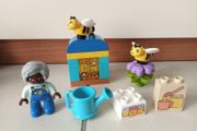 Lego Duplo Bee Set
