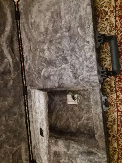 Fender Deluxe Molded Strat/Tele Case