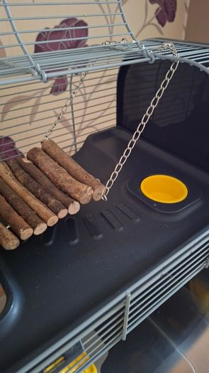 Hamster Cage
