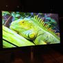 4k Uhd 27 Inch Monitor - Dell U2723qe - 3840x2160 Image 5