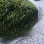 artifical grass Image 4