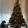 christmas tree Image 3