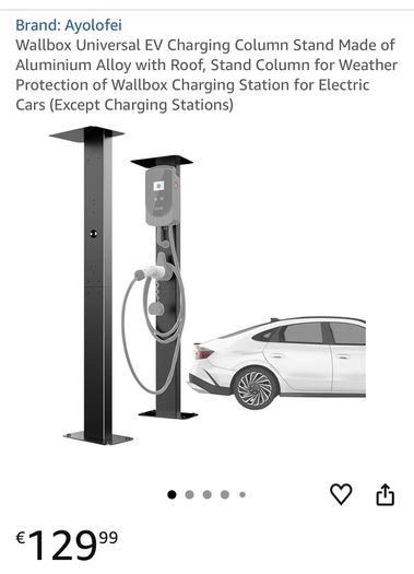 Electric Car Charger Stand