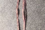 sports lanyards