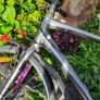 track bike Image 3