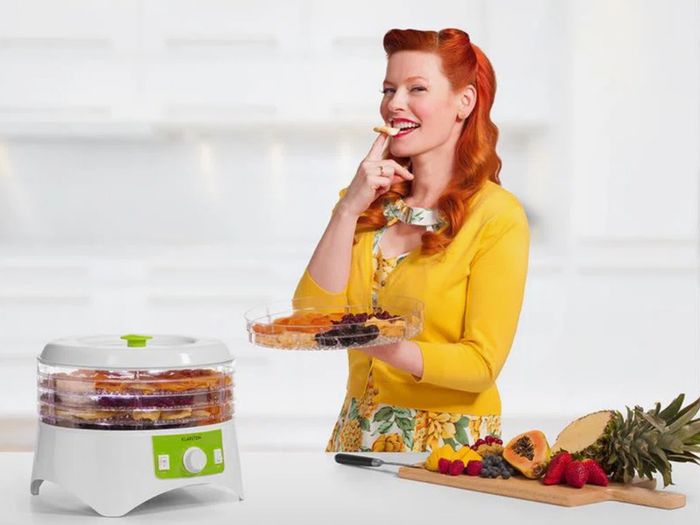 Food Dehydrator