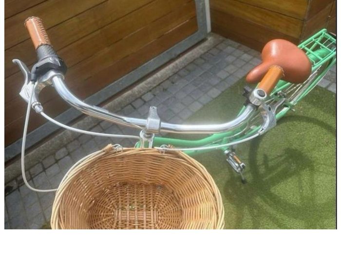 Vintage Deluxe Bike