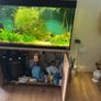200 liter fish tank Image 8