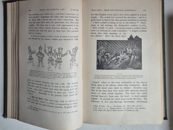 P.W. Joyce's A Social History of Ancient Ireland, 1920