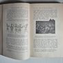 P.W. Joyce's A Social History of Ancient Ireland, 1920 Image 2