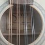 siveen mandolin Image 4