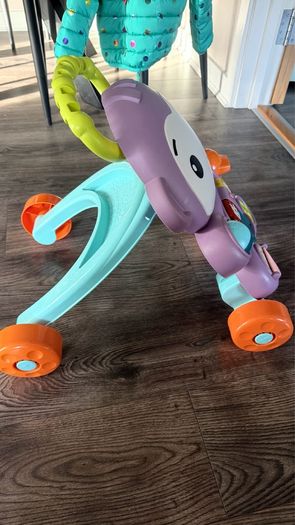 baby monkey walker