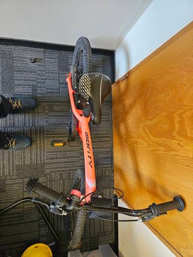 children's bicycle