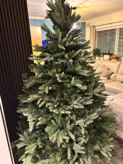 christmas tree