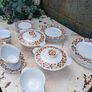 1960/70s Alfred Meakin Dinner Set Image 8