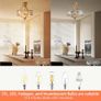 Brand New 40cm Vintage Gold 4-Light Crystal Chandelier Rustic Pendant Desig... Image 2