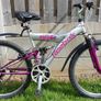 Bike -Adult bicycle Image 2