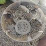 Antique Cast Iron Garden Pub Table Image 6