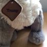 Vintage Disney Store Tramp Plush with Name Tag Image 3