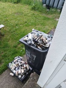 free cans