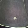Short Carrickmacross  Lace Veil Image 6