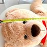 Giant Teddy Bear Image 5