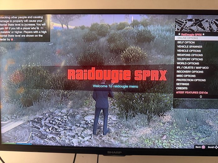 ps4 slim 1TB controller 2 jailbreak 13.52