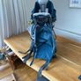 Deuter 9-36 month kid comfort 1 plus Image 6