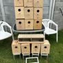 bird breeding boxes Image 4