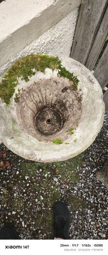 Antique garden flower pot