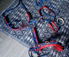 shetland pony harness