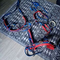 shetland pony harness