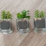 Artificial plants x 3 Image 2