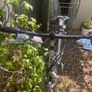 Ladies bike Image 2
